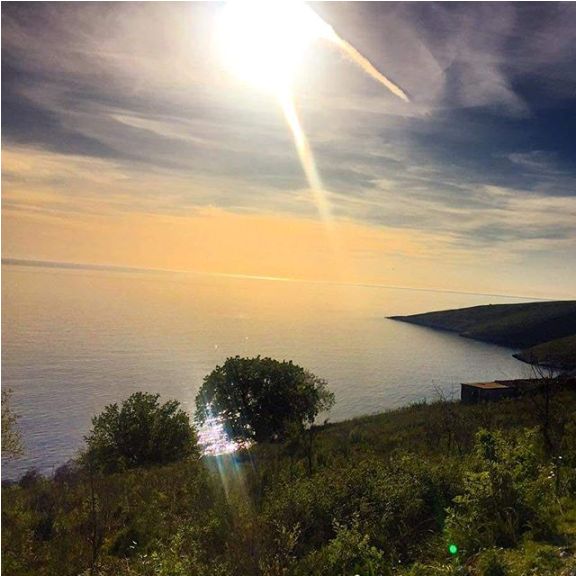 0000000000000.napolon 56